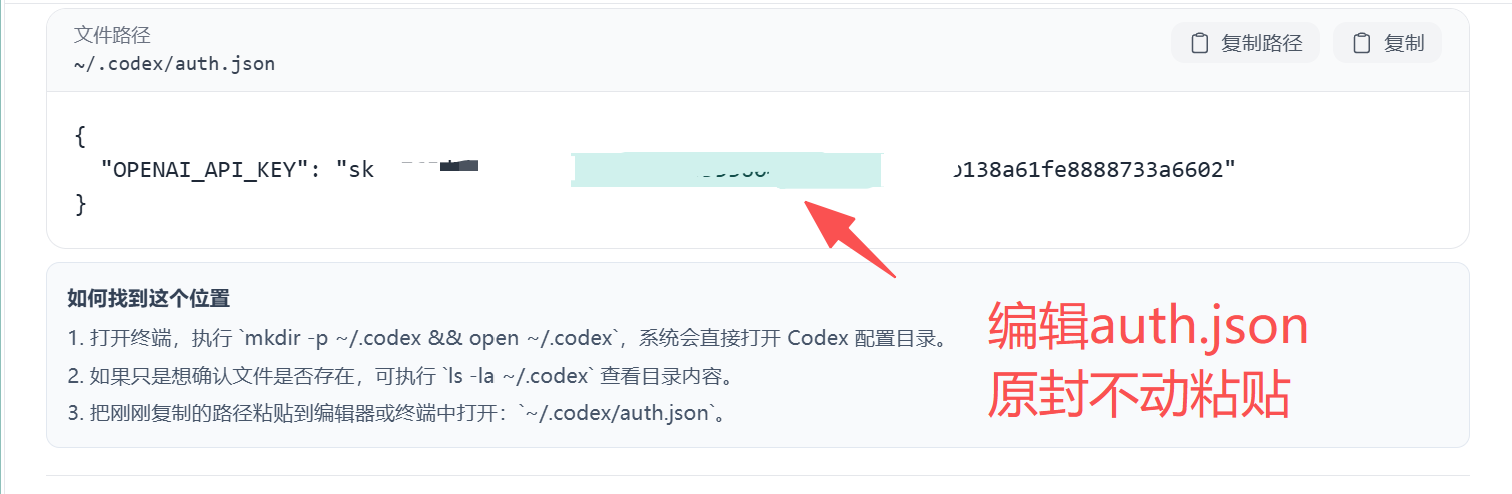 auth.json 文件中的 API 密钥字段